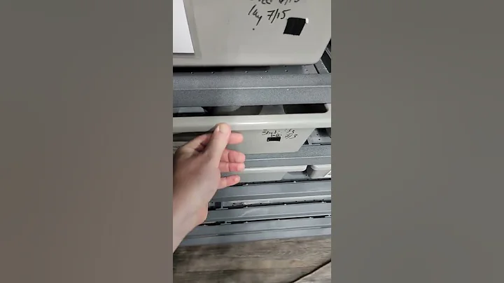 Eggs, or Slugs??? What do you think?