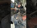 Blacksmith Expert  is live!