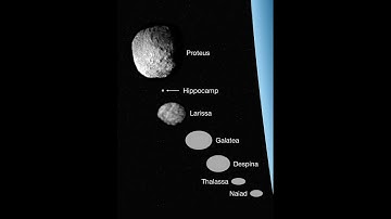 Neptune Moons Size Comparison