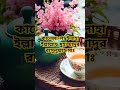 কালেমা-লা ইলাহা ইল্লাল্লাহু মুহাম্মাদুর রাসুলুল্লাহ সাঃ #shorts