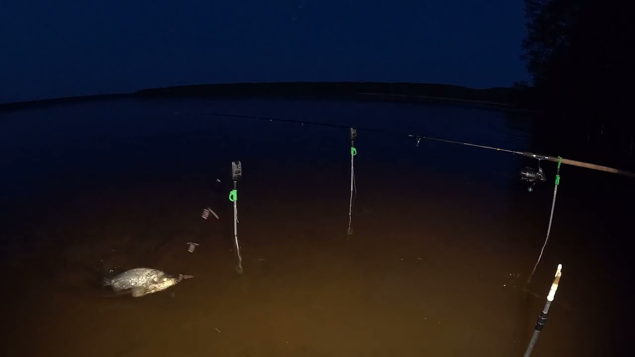 Kauno marių karosai, Bandom