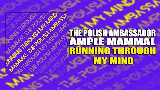 Running Through My Mind - The Polish Ambassador, Ample Mammal