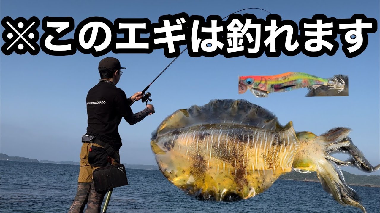 エギ王K】スーパーシャロー 春イカはこのエギさえ投げとけば釣れる