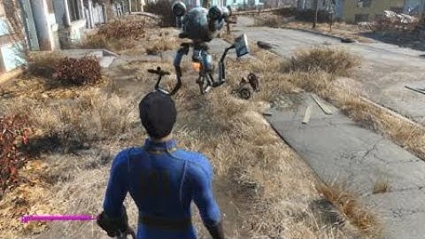 Fallout 4 Mr Fuckface