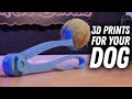 Cool 3D Prints For Pet Owners - Printed on the ELEGOO Centauri Carbon 3D Printer