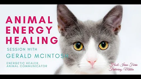 Energy healing session for an 18-year old cat with...