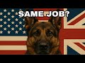 Interview with U.K. K-9 Handler Ben Shaylor