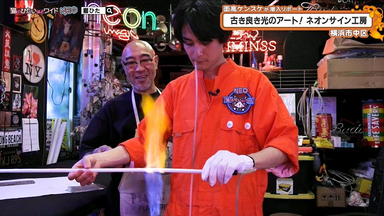 猫のひたいほどワイド #1737 潜入リポート・面髙ケンスケ「古き良き光