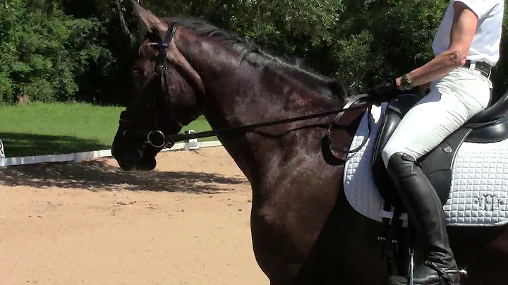 Vickie Hunt First Level test 3 Britton May SWDEA V...