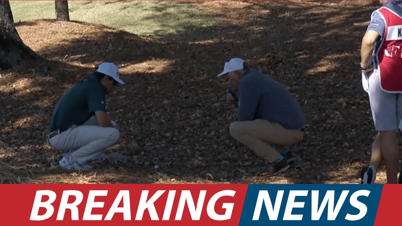 Объяснение обрушения школы Q Бена Коулза: один штраф изменил всё. USA NEWS TODAY