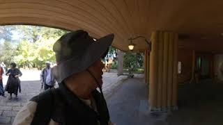 2.高山植物園（2）1081106