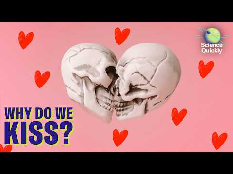 The evolutionary riddle of kissing | Science Quickly