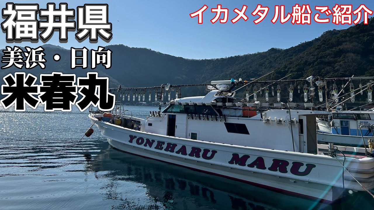 [イカメタル船紹介]釣り人が集まる美浜・日向のイカメタル船　米春丸