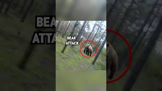 Biker Attacked By Bear Credit