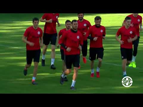 საქართველოს ნაკრებმა ავსტრიაში საწვრთნელი შეკრება დაიწყო