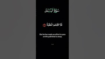#قران_كريم #سورة البلد #اكسبلور