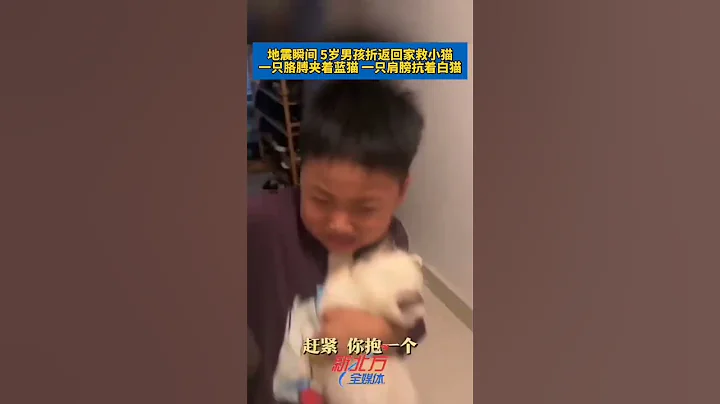 地震瞬間，5歲男孩折返回家救小貓，壹只胳膊夾著藍貓，壹只肩膀扛著白貓，媽媽：他害怕、渾身顫抖，也要把貓帶走。#真實事件 #奇聞趣事 #新聞 #shorts - 天天要聞