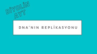 Dnanın Replikasyonu 12. Sınıf
