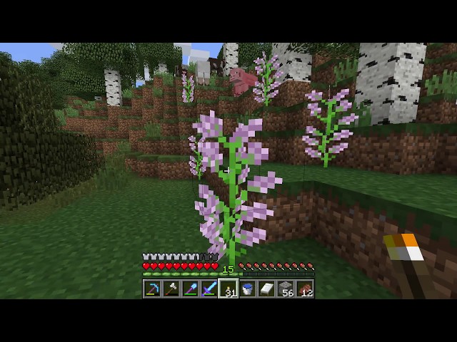 How to get Lilac flowers - Minecraft class=