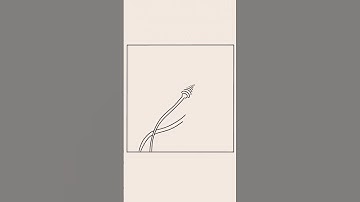 Zinger Zentangle Pattern | How To Draw Zentangles #shorts