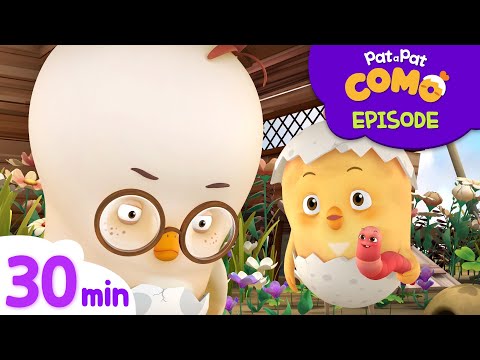 Como Kids TV | Toto, the City Chick + More Episode 30min | Cartoon video for kids