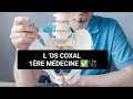 Anatomie l os coxal ostologie du membre infrieur  1re mdecine 