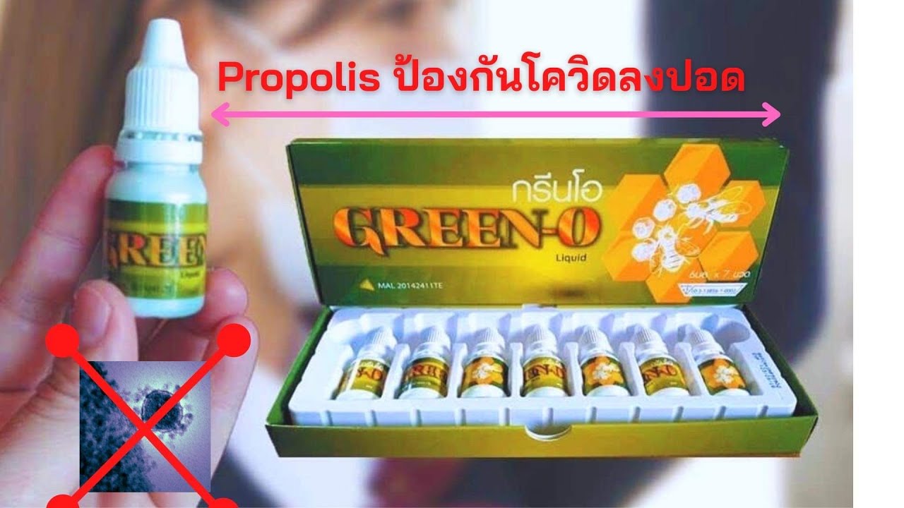 Propolis โพรโพลิส สร้างภูมิคุ้มกัน