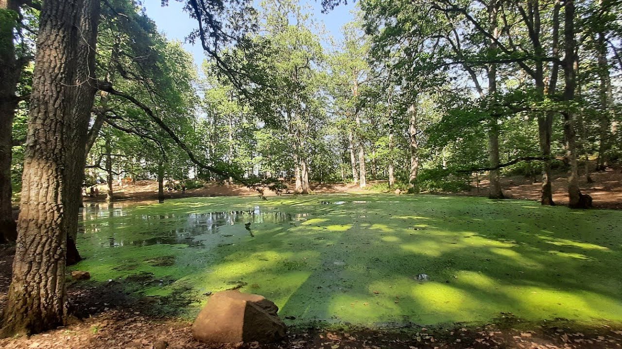 Le lac vert , yakouren