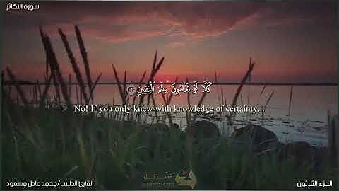 المصحف المرتل 📖 | تلاوات خاشعة ✨| ما تيسر من سورة التكاثر للقارئ الطبيب محمد عادل مسعود💛💫