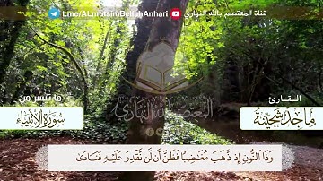 من روائع التلاوات تلاوة عطرة  | بصوت القارئ ماجد شجينة وفقه الله
