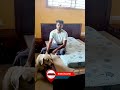 Happy Customer Review | Royaloak Mourya Queen Size Bed with Hydraulic Storage