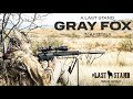 A Last Stand Gray Fox In Arizona | The Last Stand S5:10