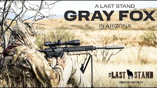 A Last Stand Gray Fox In Arizona | The Last Stand S5:10