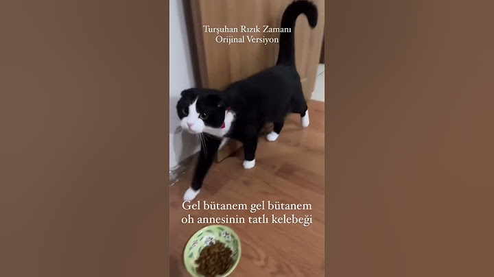 Efsaneyi hatırlayalım