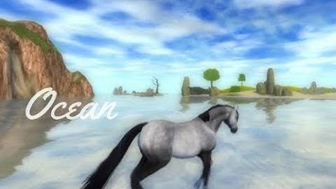 Ocean | SSO Music Video