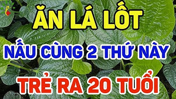 ĂN LÁ LỐT Nấu Cùng 2 THỨ NÀY MÁU THÔNG LÊN NÃO, NGỦ SAY ĐẾN SÁNG,SẠCH GAN KHỎE THẬN, TRẺ RA 20 TUỔI