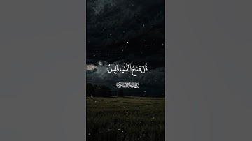 #quran #yasseraldossary #تلاوة_خاشعة #قرآن #تلاوة_هادئة