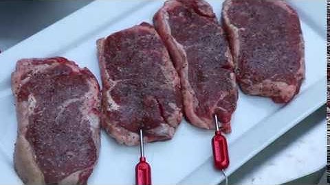 Best selling grilling gadget | GrillEye GE0001 Smart Bluetooth Grilling & Smoking Thermometer