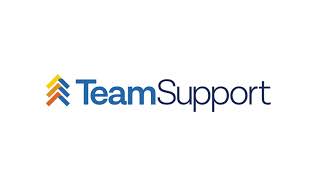 TeamSupport Insights Overview
