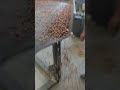 Flax Seed Screening Machine | Factory Test & Performance Validation (FAT)
