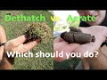 Aeration vs Dethatching // Which should YOU do??