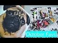 October favourites