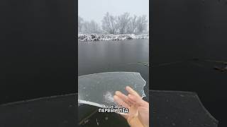 Когда в Пензенской обл зайдем на лёд? #рыбалка #fishing #рыбак #зимняярыбалка #окунь #охота #щука