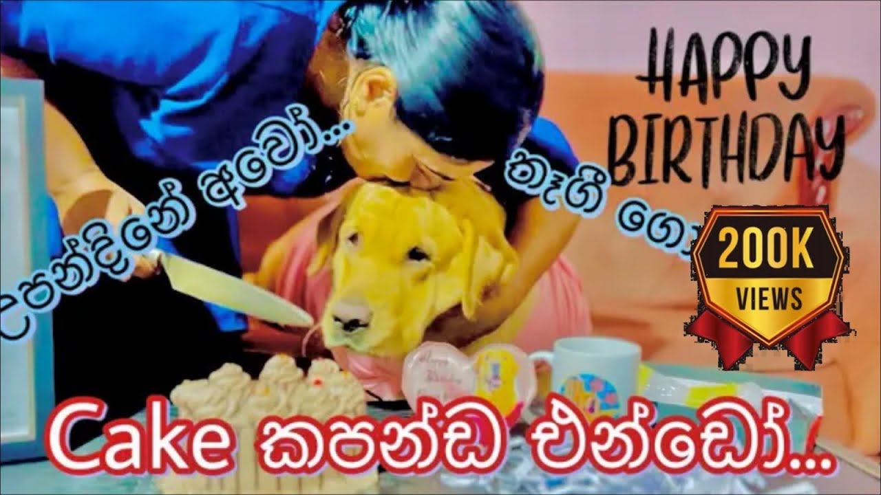 Happy birthday to you