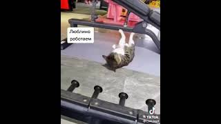 Люблино Работает