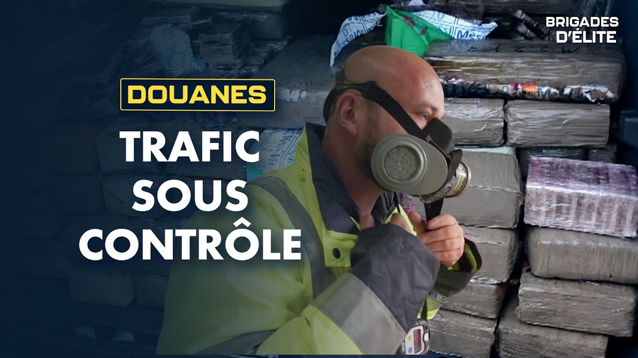 Stupéfiants, cargaisons, saisies : la douane face aux trafiquants | Brigades d'élite