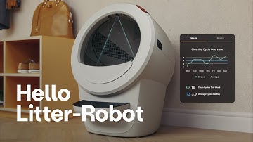 Hello Litter-Robot - the solution to the litter box problem