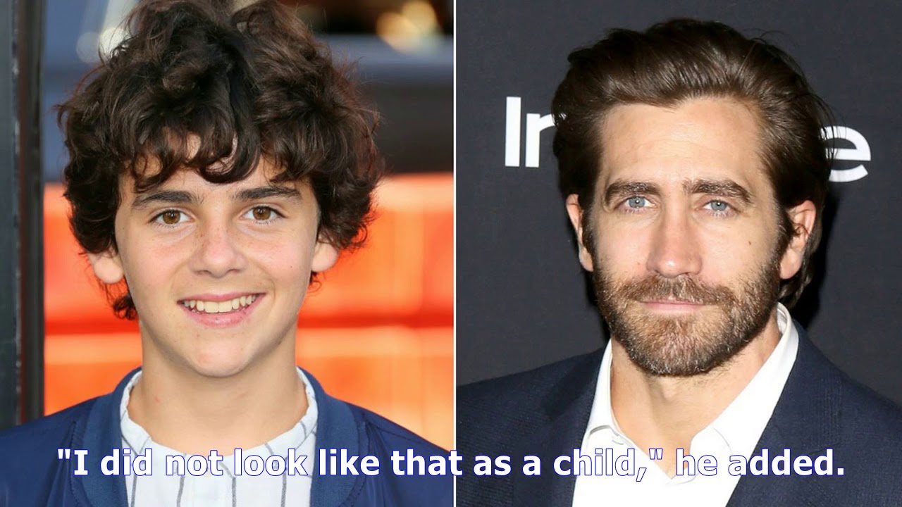 Alex the lion jake gyllenhaal