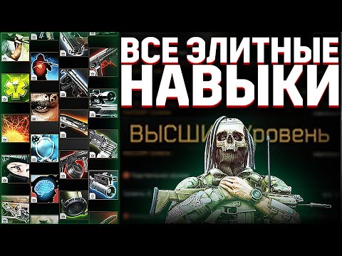 ВСЕ Элитные навыки в Таркове. Как прокачать навыки персонажа? TarkovHelp