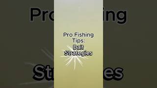 Fishing bait selection and adaptation strategies #fishing #fishingtips